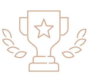 Icon of award trophy