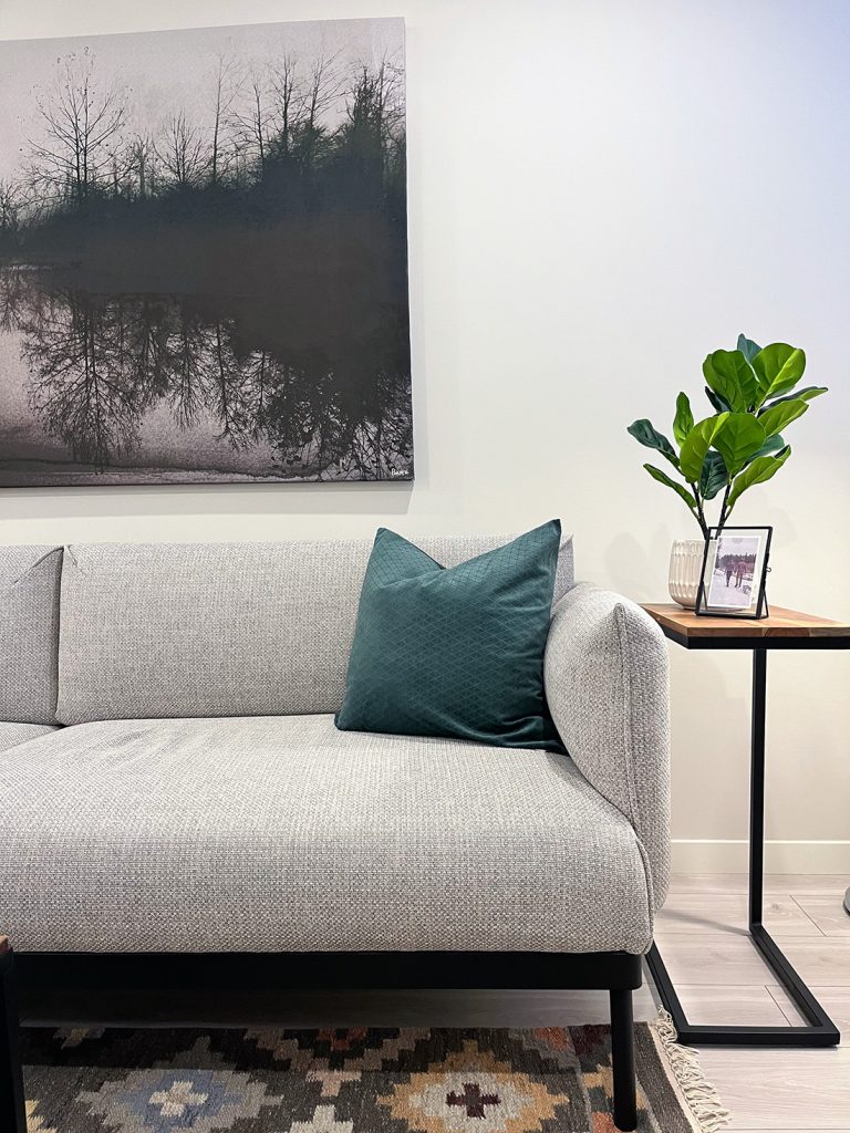 grey couch with a side table holding a green plant